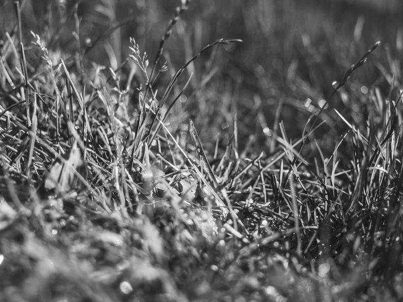 sudoku touch controls screenshot 4